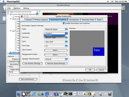Screen shot showing learner preferences interface